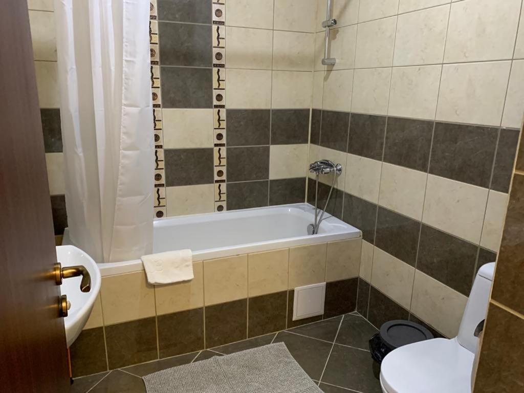 Flora Clover One Bedroom Apartment Nr. 18 ボロヴェッツ エクステリア 写真