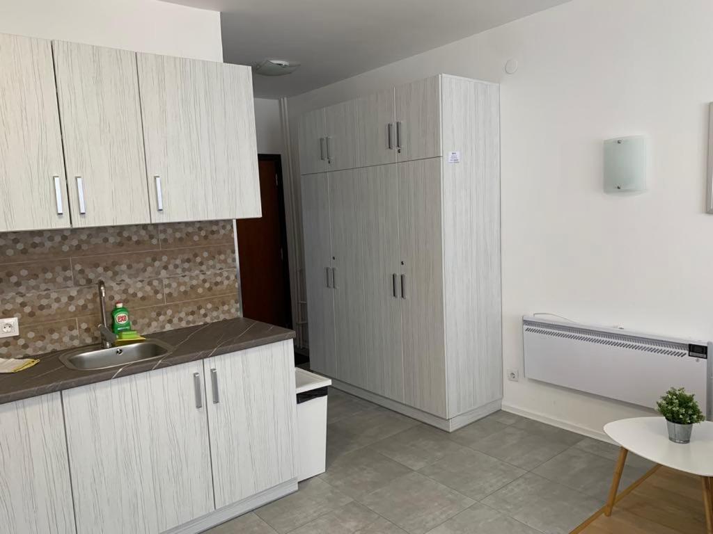 Flora Clover One Bedroom Apartment Nr. 18 ボロヴェッツ エクステリア 写真